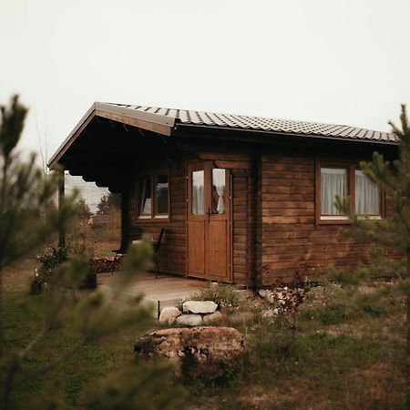 Villa Ambercoast à Jūrkalne Extérieur photo